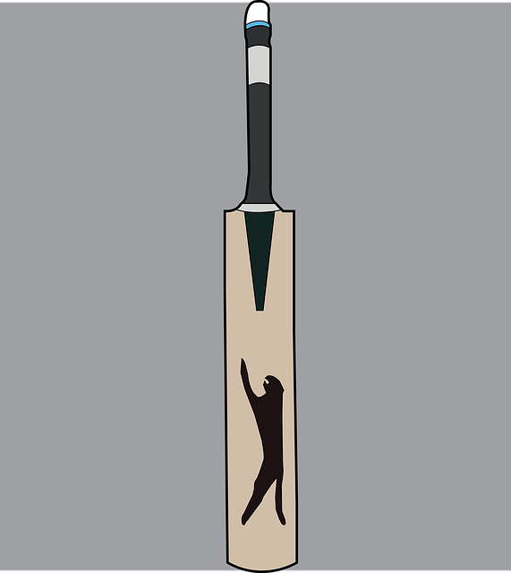 Free sport bat ball illustration
