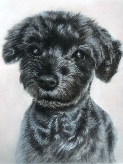 Free Animal Portrait photo and picture