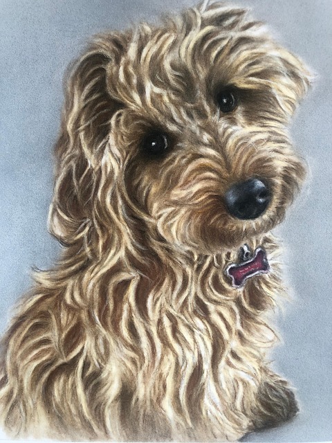 Free Dog Pet photo and picture
