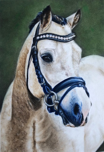 Free Horse Portrait photo and picture