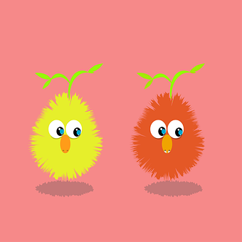 Free Birds Nature illustration and picture