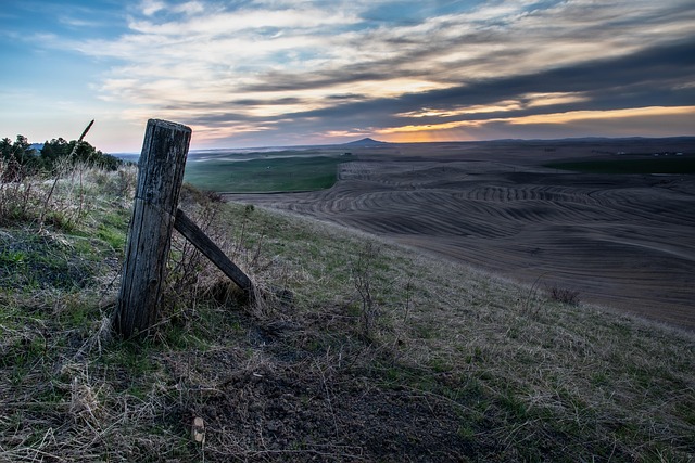 Free Sunset Field photo and picture