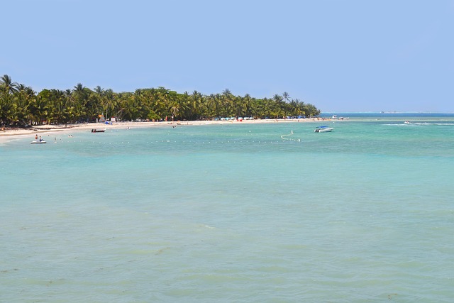 Free Beach Sea photo and picture