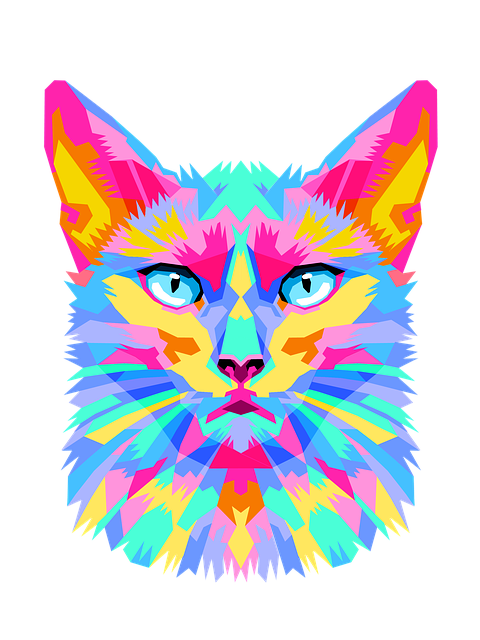 Kat, Farverig, Tegning, Kattens Ansigt