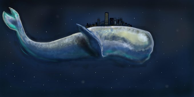 Free Whale Sea illustration and picture