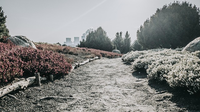Free Garden Park photo and picture