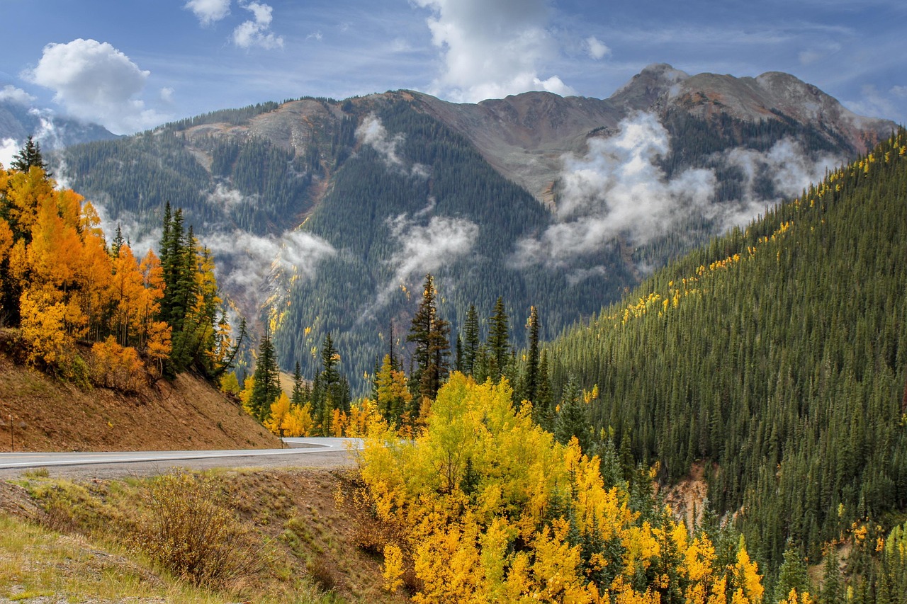 https://cdn.pixabay.com/photo/2022/03/25/05/27/nature-7090312_1280.jpg