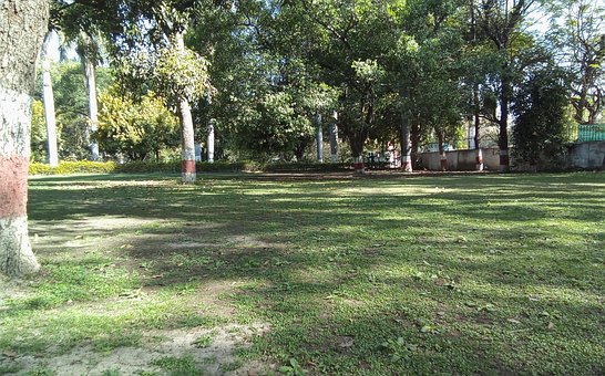 Landschaft, Natur, Wiese, Rasenplatz