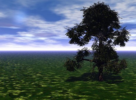 Landschaft, Grün, Wiese, Himmel