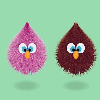 Free Birds Drawing illustration and picture