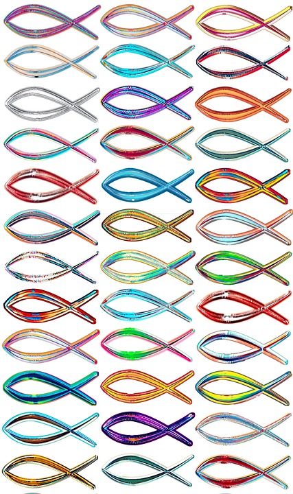 Fish Design Column Design Fishes Rows Columns - Free photo on Pixabay - Pixabay