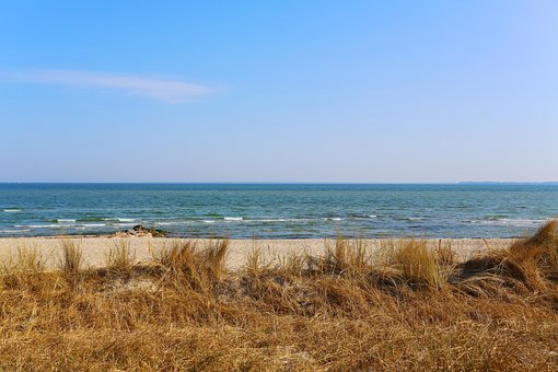 Free Beach Sand Dunes photo and picture