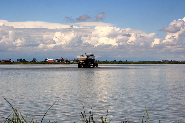Free Tractor Nature photo and picture