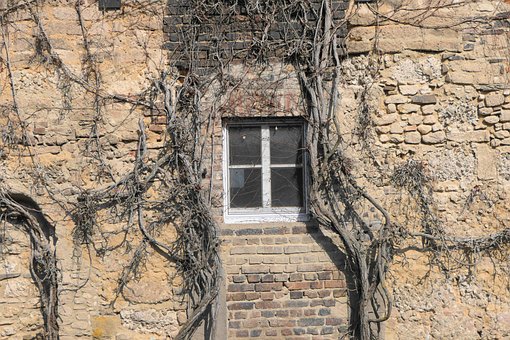 Raam, Huis, Gebouw, Facade, Wortel, Glas
