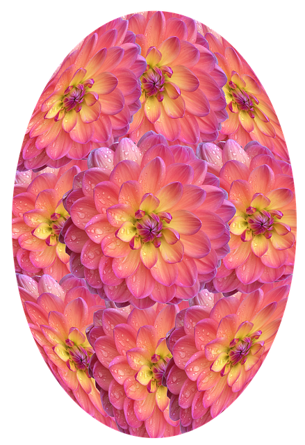 Free egg easter easter egg illustration