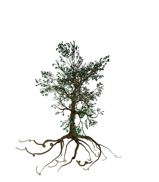 Træ, Natur, Grene, Vækst, Skov