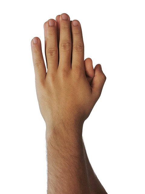 Free pray hands please illustration