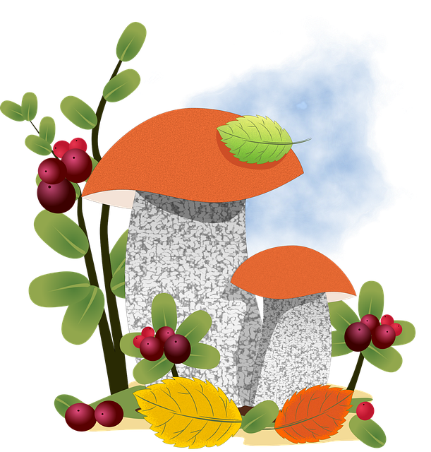 Free Mushroom Aspen vector and picture