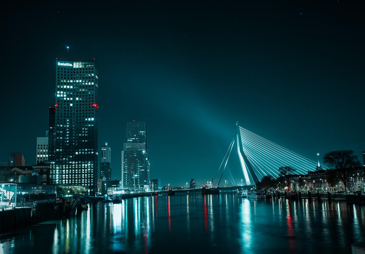 Rotterdam At Night Wallpaper 1440x2630 Erasmus Bridge Night Rotterdam At Night Wallpaper 1440x2630 Erasmus Bridge Night