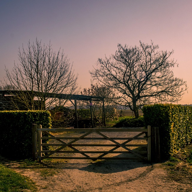 Free Gate Sunset photo and picture