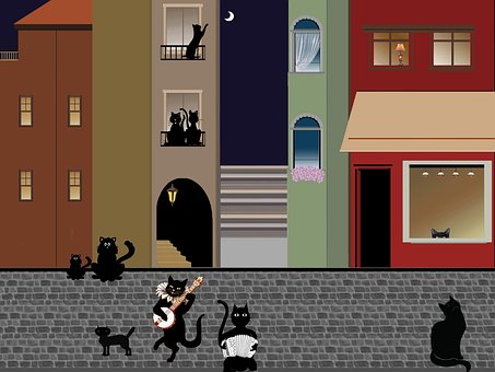 Free Street Cat illustration and picture