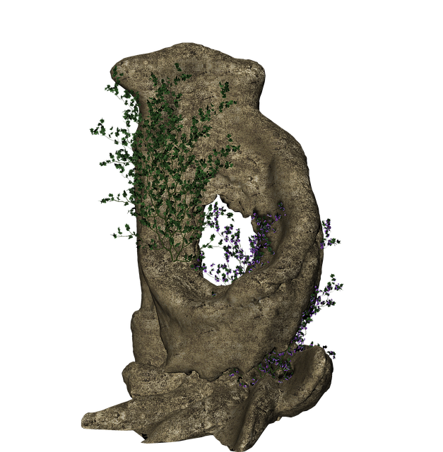 Free tree trunk tree hollow nature illustration