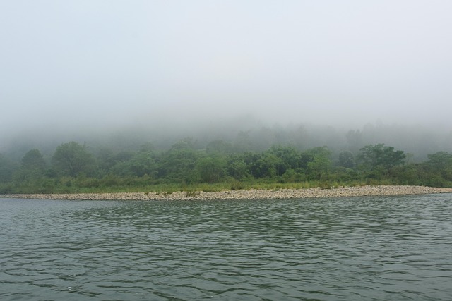 Free Nature Fog photo and picture