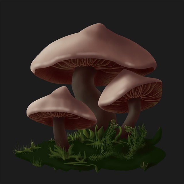 Free Mushrooms Fungi illustration and picture
