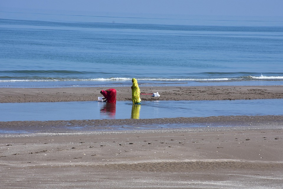beach-7097242_960_720.jpg