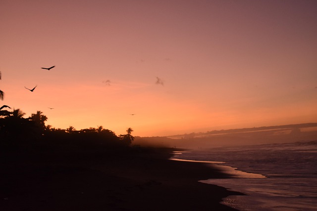 Free Nature Sky photo and picture