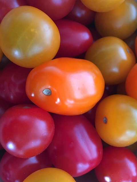 Free Tomatoes Colors photo and picture
