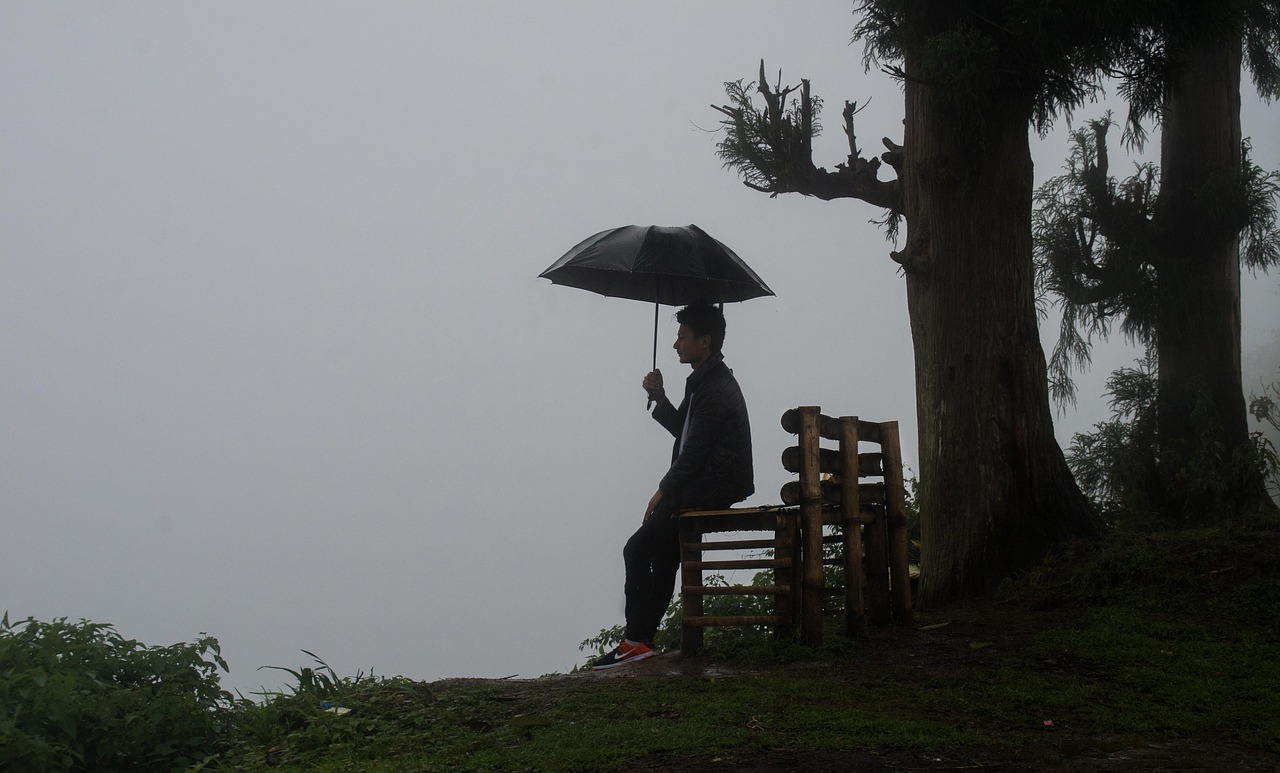 Rainyday 弱い光 ダージリン - Pixabayの無料写真 - Pixabay