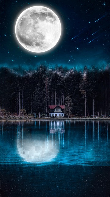 Free Forest Iphone Wallpaper photo and picture