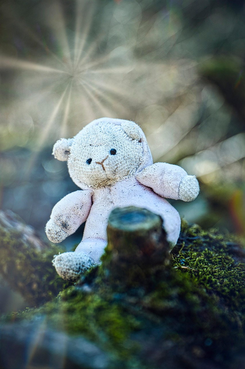 400+ kostenlose Bärchen und Teddy-Bilder - Pixabay