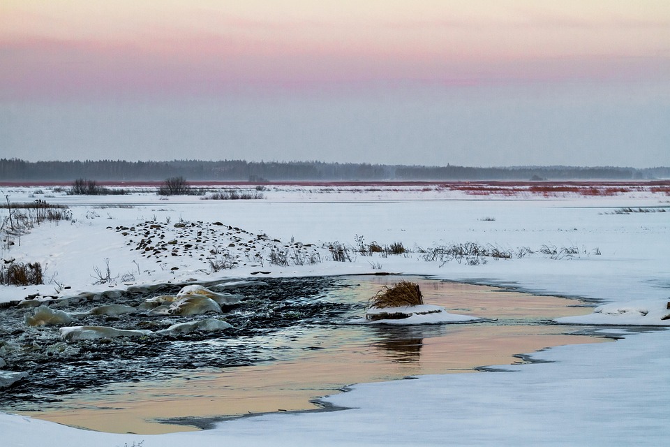 Cultural Tips for Living with Finnish Roommates as a Student