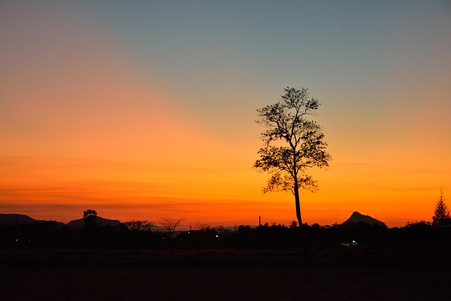Free Nature Sunset photo and picture