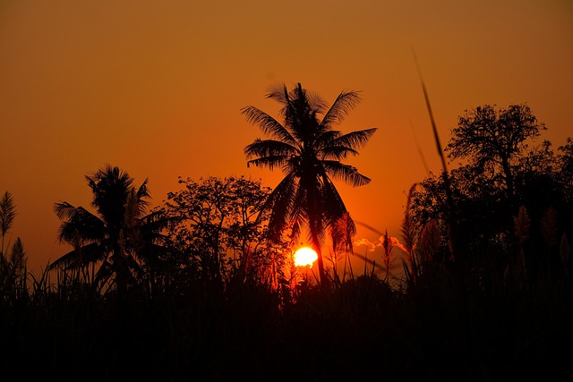 Free Sunset Landscape photo and picture