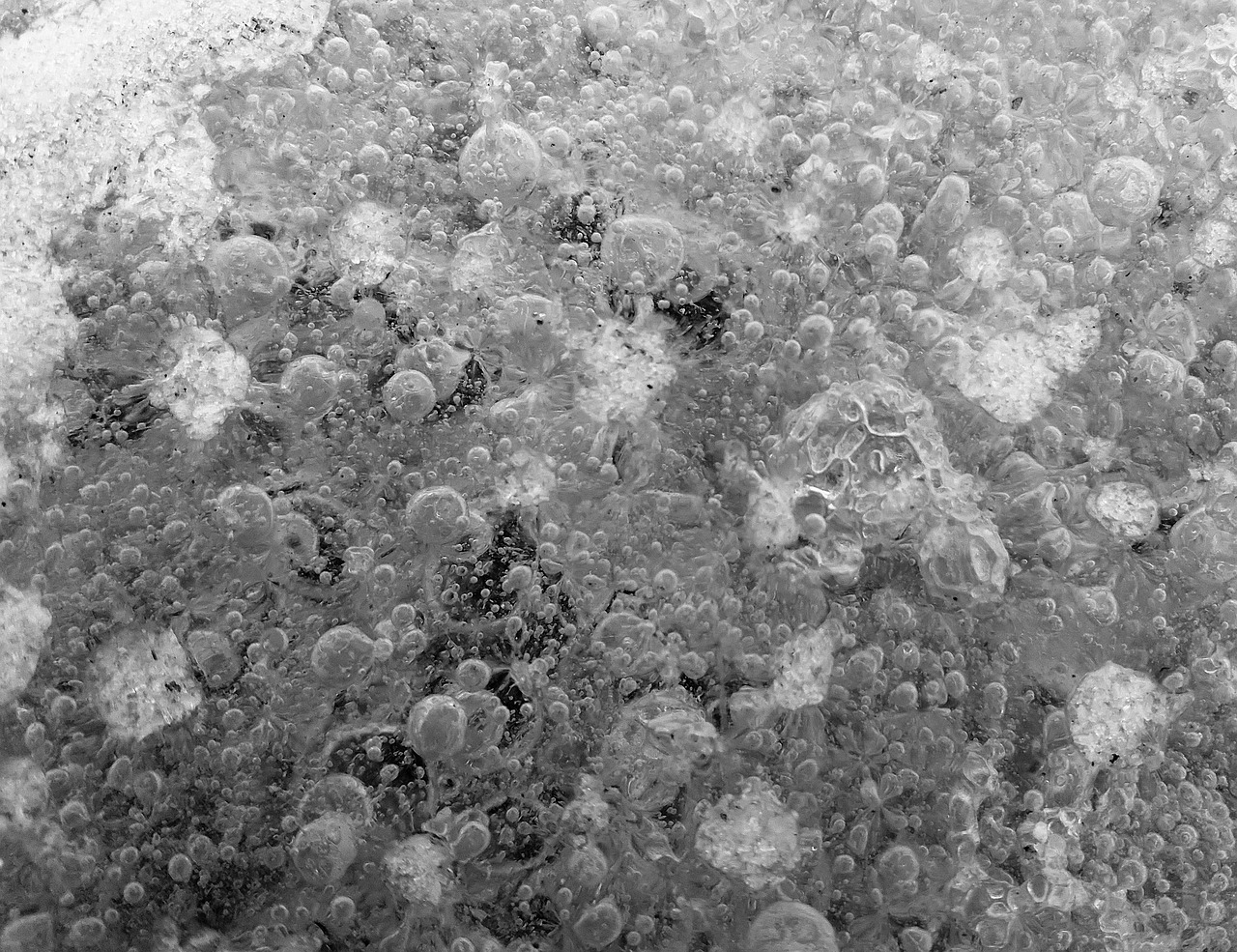 Free Ice Bubbles photo and picture