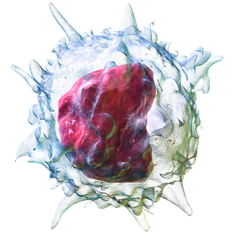 Free Cell Human illustration and picture