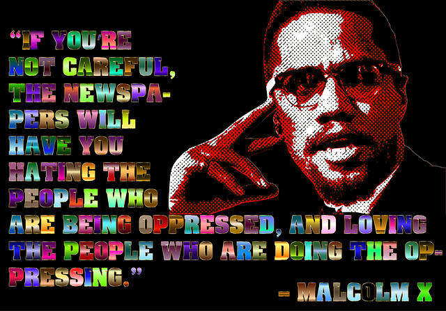 Free malcolm x quote propaganda illustration