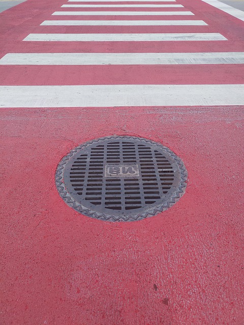 Free Crosswalk Road photo and picture