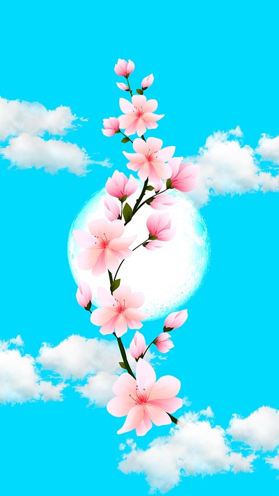 Branch Sakura Clouds - Free photo on Pixabay - Pixabay