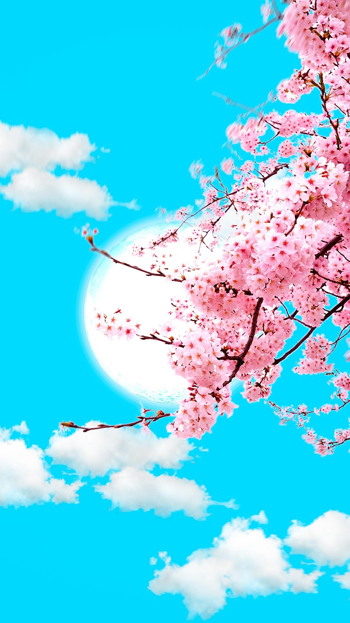 Sky Clouds Sakura - Free image on Pixabay