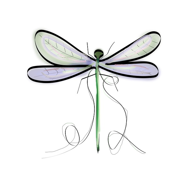 Download free HD stock image of Insect Dragonfly Free insect dragonfly entomology illustration