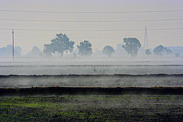 Free Field Fog photo and picture