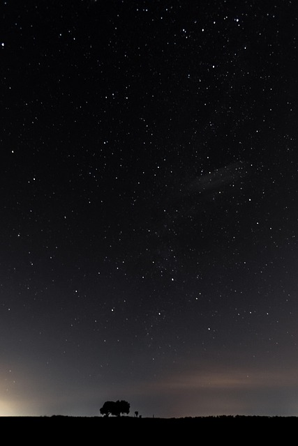 Free Night Morning photo and picture
