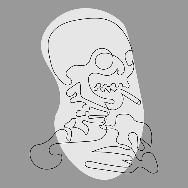 Free art skull of a skeleton line drawing illustration