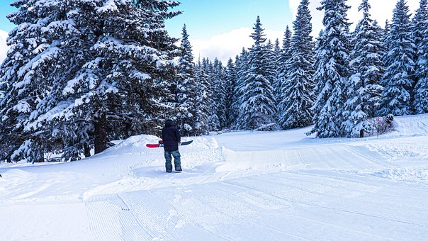 Ski, Vinter, Snø, Fjell, Natur, Skog