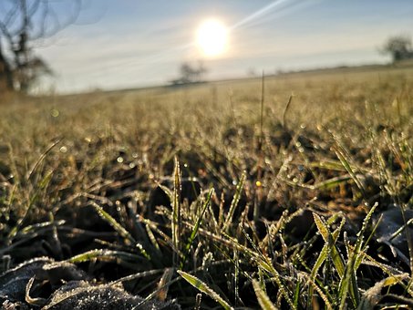 Free View Grass photo and picture