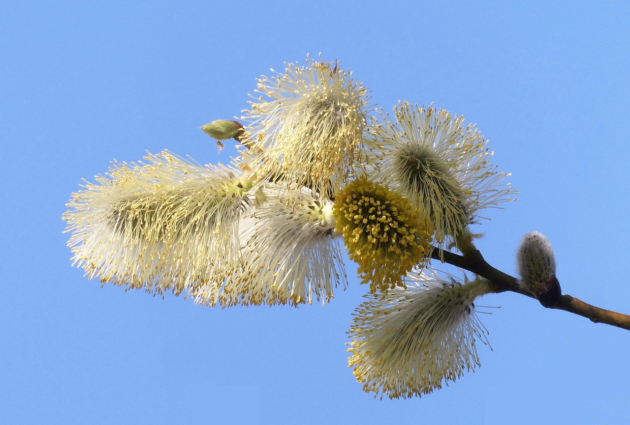 https://cdn.pixabay.com/photo/2022/03/31/09/39/okay-7102645_1280.jpg